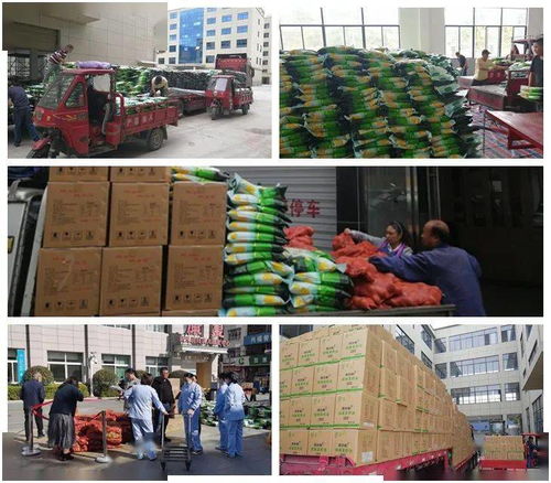 慶元9天高效派送253噸農產品，東西部消費扶貧任務圓滿完成