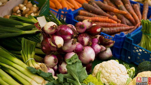 深圳稅務主動對接農產品企業 護航春節“菜籃子”食用農產品零售