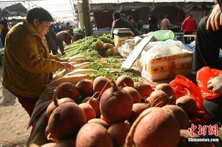 食用農產品價格微幅上揚，雞蛋漲幅達2.2%引關注